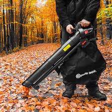 Aspirateur souffleur